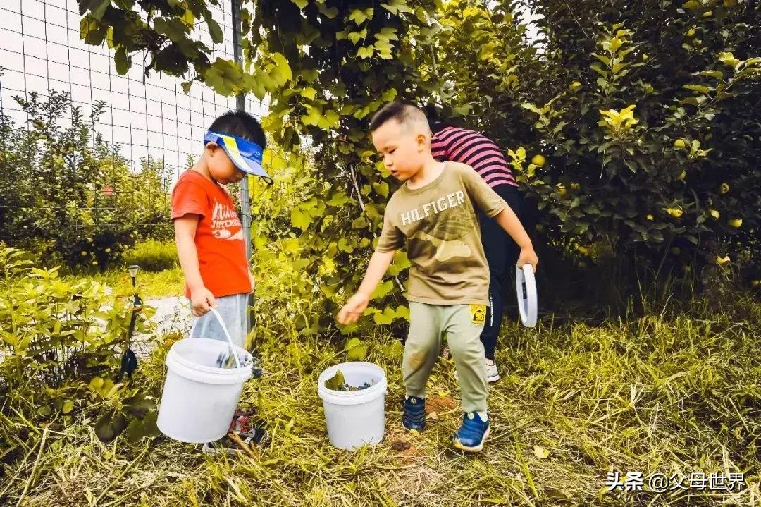 国内不太偏的亲子小众旅游 (全球最适合亲子游的十大旅游胜地)