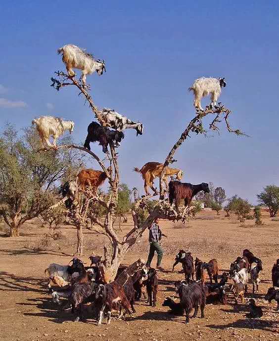 太壮观了动态图片,太壮观了的图片