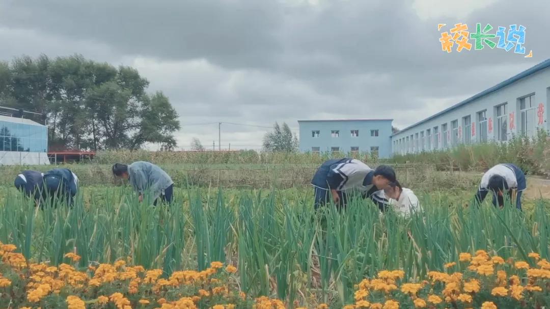 不能一味追求成绩,成绩垫底也不要放弃自己的孩子