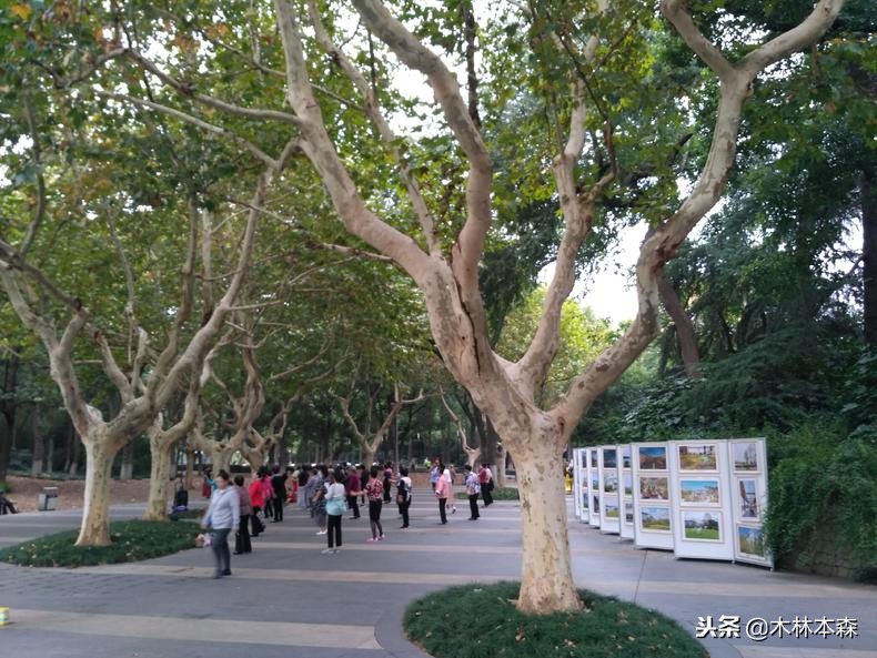 常州天宁禅寺佛塔,去天宁寺坐几路车