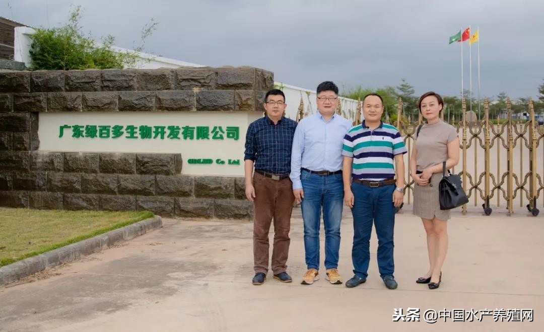 水产动保行业运营模式,水产动保企业发展