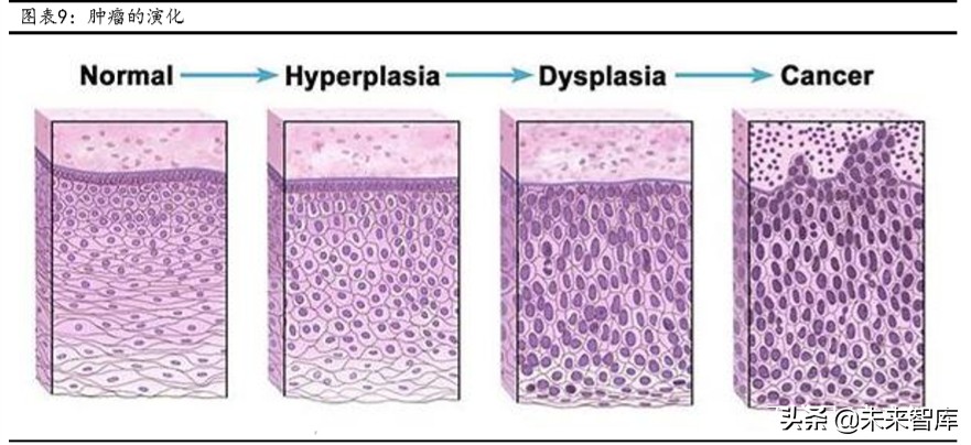 肿瘤治疗药物的市场与发展,2023年抗肿瘤药物行业发展现状