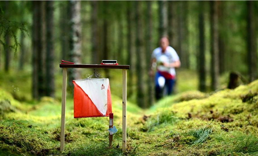 武汉军运会包括哪些项目,武汉军运会时间表