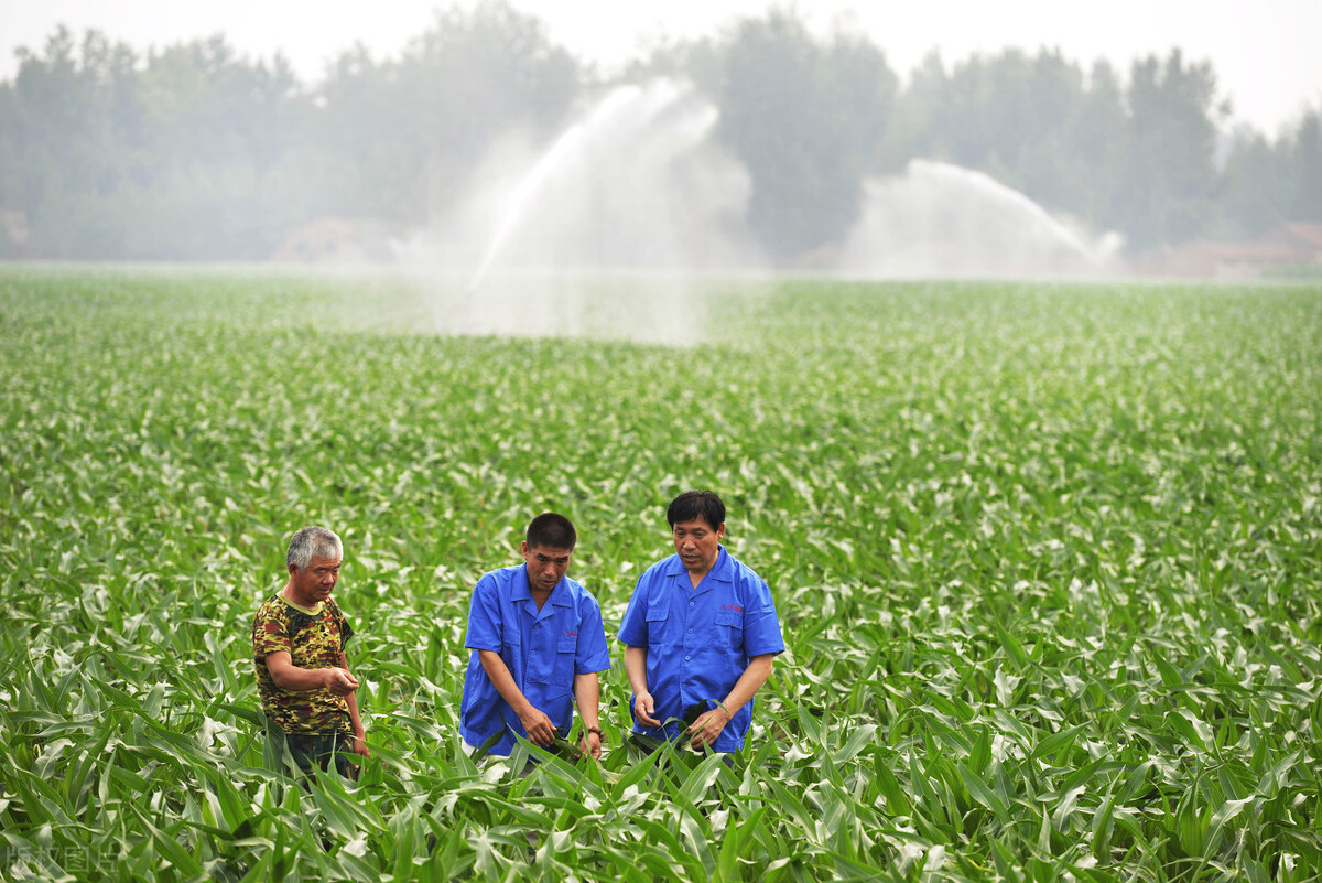 去银行拿身份证申请创业贷,低保怎么申请创业贷
