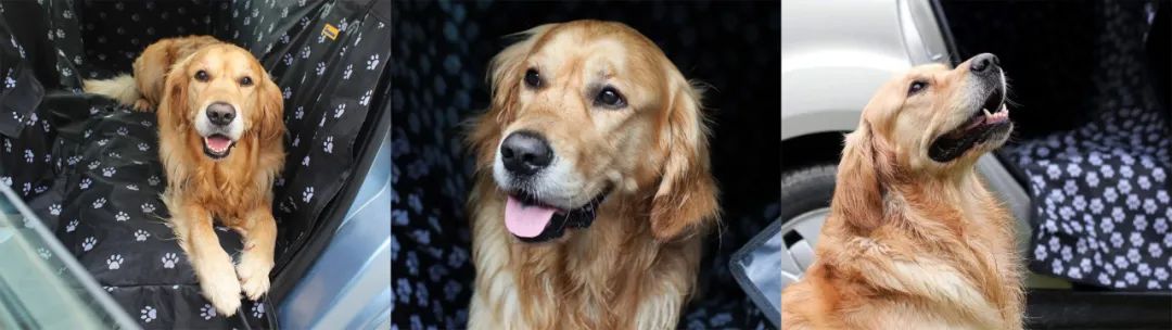 品牌视觉vi,超市品牌vi视觉设计