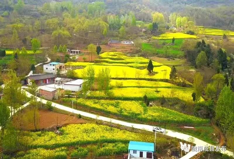 我叫成县，这是我2019年的自拍照~