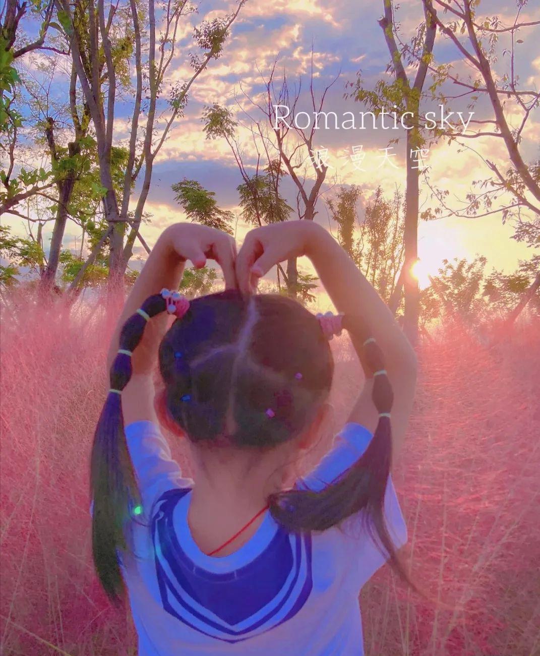 粉黛乱子草红了！成都周边这6个地方，不收门票这周就能去