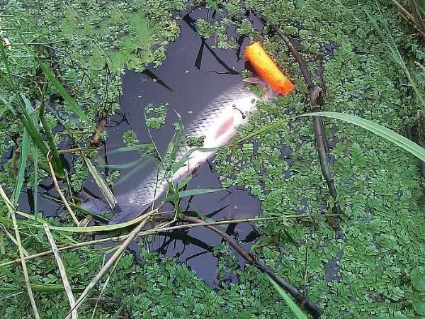 钓鱼人应该保持的心态,钓鱼人的三大坏习惯你却长期忽略