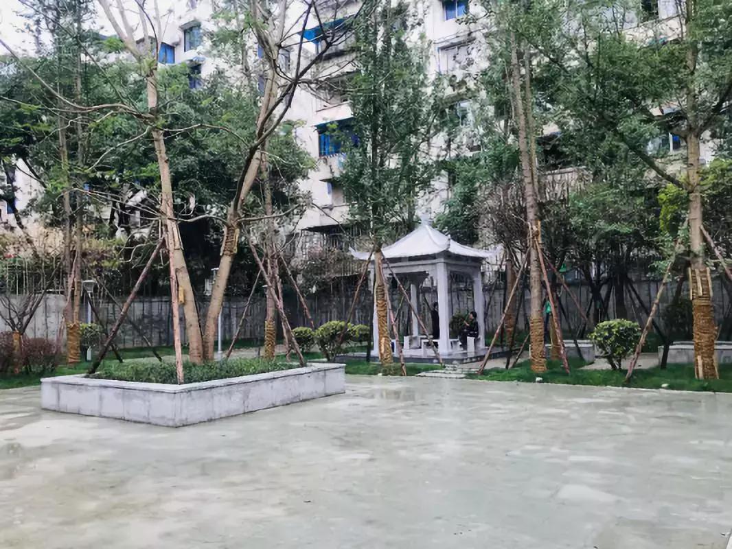 乐山即将打造的公园,今日视点四川