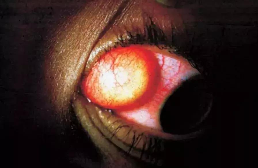 实录：不要命的漂亮，害了一群女孩