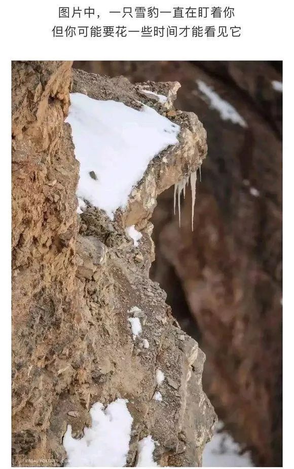 车上有什么东西洗车都洗不掉,汽车污渍普通洗车洗不掉