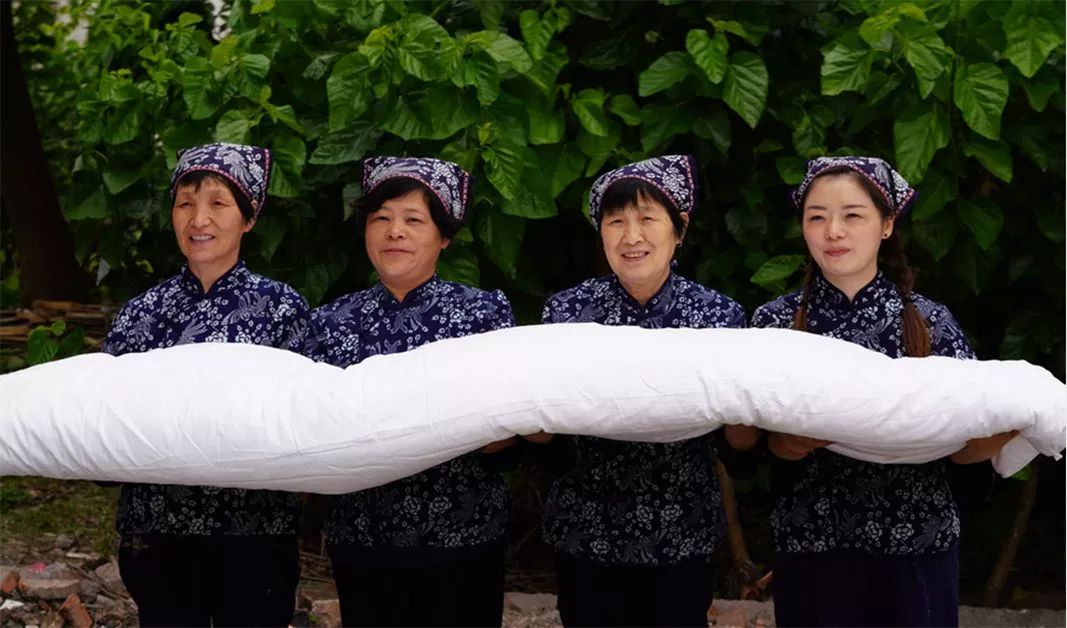 蚕丝的内幕,蚕丝被内幕曝光