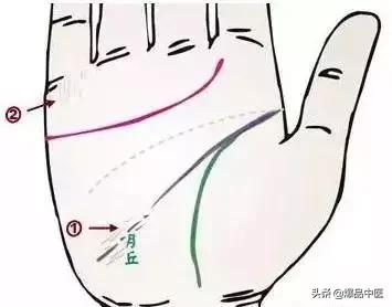 手诊图大全清晰图手背,全息手诊图