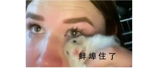 教徒弟手法却发现自己成为教学视频主角，玩家：倒霉奶歌就是我