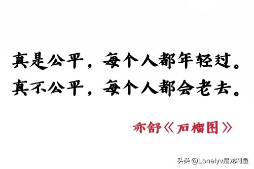 亦舒石榴图,亦舒的石榴图