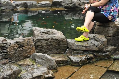 济南几大怪,济南十大怪事件