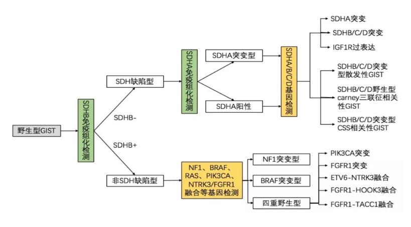 基因检测靶向药副作用,癌症靶向药的基因检测怎么做