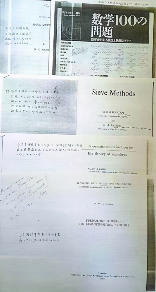 陈景润和王元,陈景润恋爱