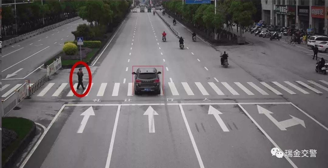 瑞金一大批车主被曝光！看看你“上榜”了吗？