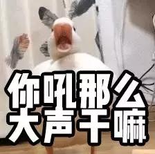 日系化妆教程石原里美,日本化妆师给徐老师化成石原里美