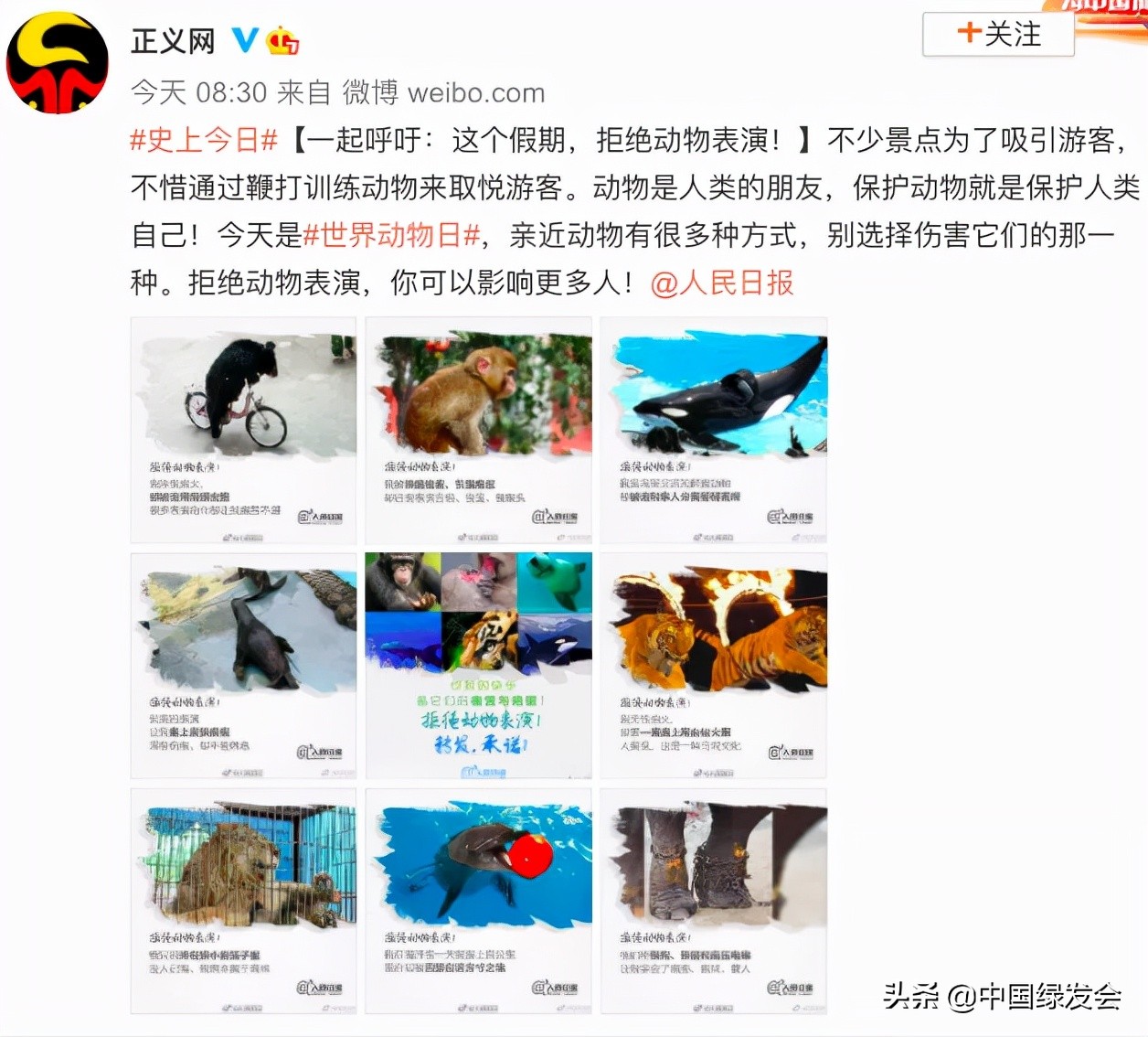 继恒大之后，新城控股成为黑榜之首！房地产何时能放过野生动物？