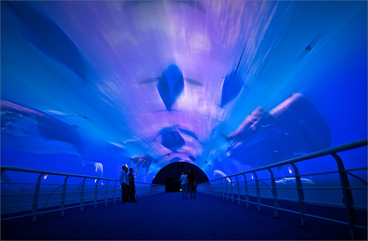 大连旅游攻略精致景点推荐,大连旅游必去10大景点推荐