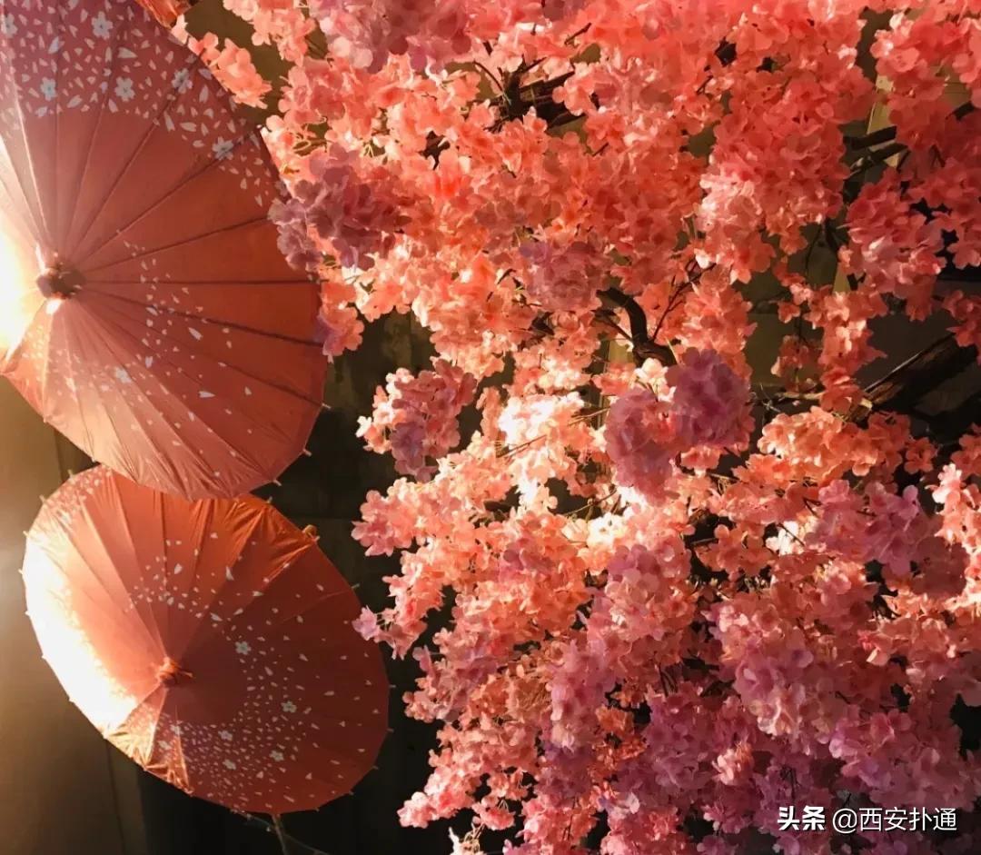 十大密室人气剧本杀,剧本杀推荐资深玩家