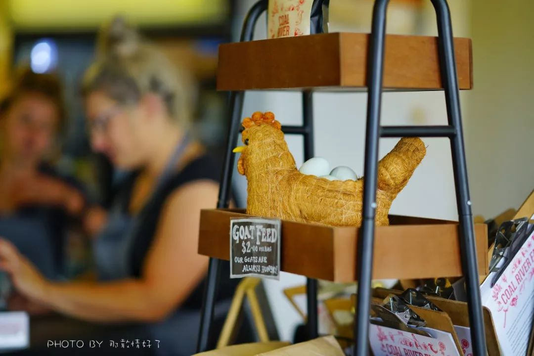 去哪里旅游可以看南极企鹅,旅游攻略南极看企鹅