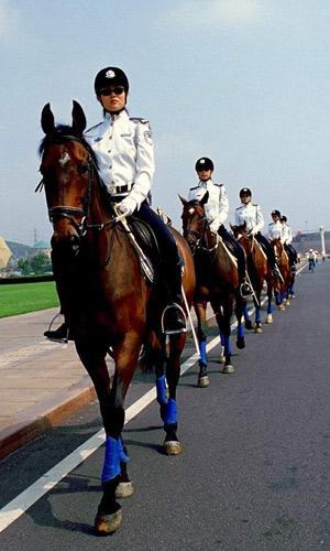 辽宁大连市城市排名,辽宁大连城市