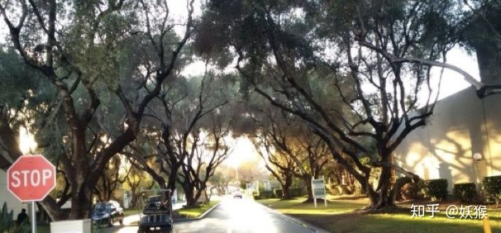 个人怎么做跨境电商教学视频,tiktok跨境电商怎么赚钱