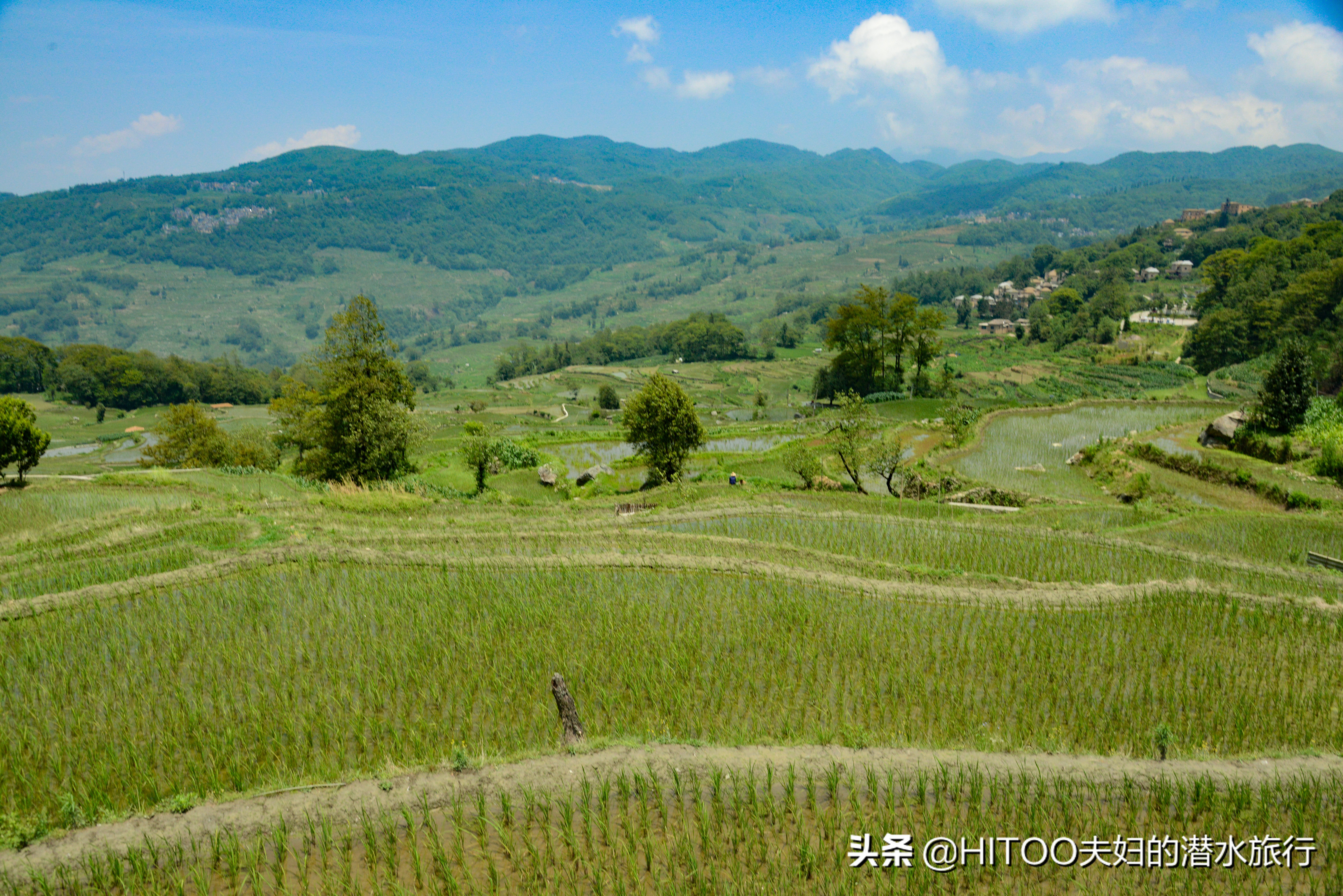 元阳梯田自驾游路线攻略,不花钱看元阳梯田自驾攻略