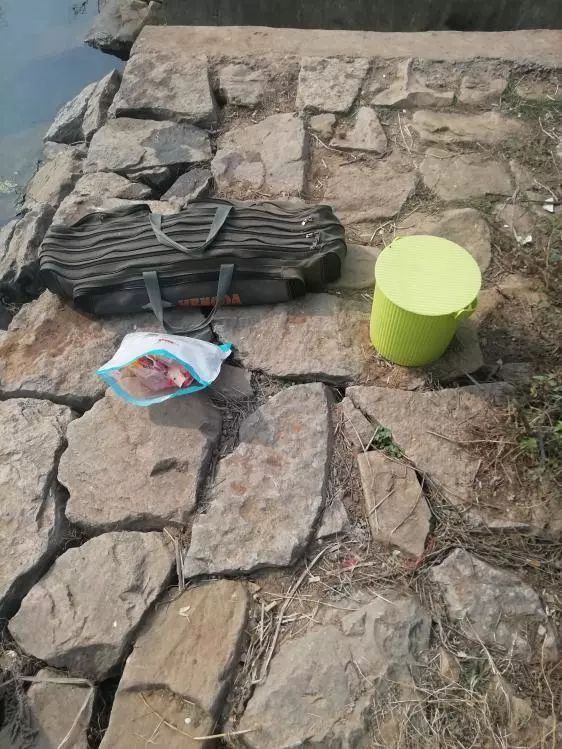 空闲出钓沐暖阳，本汀宗师开光狂拉鲫