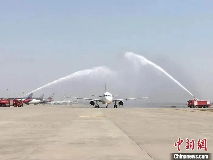 法治在线真实案例22岁女孩被杀,法治热点早知道老公杀妻子