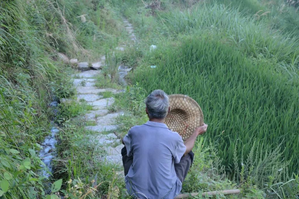 红包言论,小小红包文案