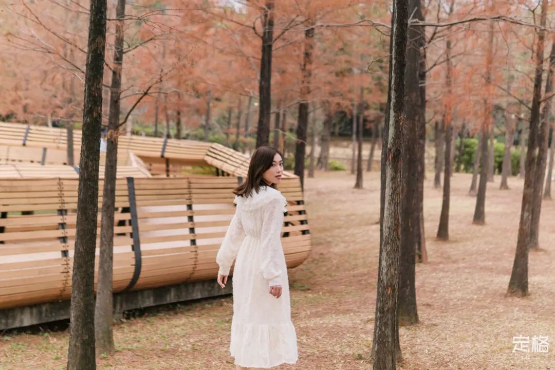 莲花山为啥一夜就火了,莲花山景区