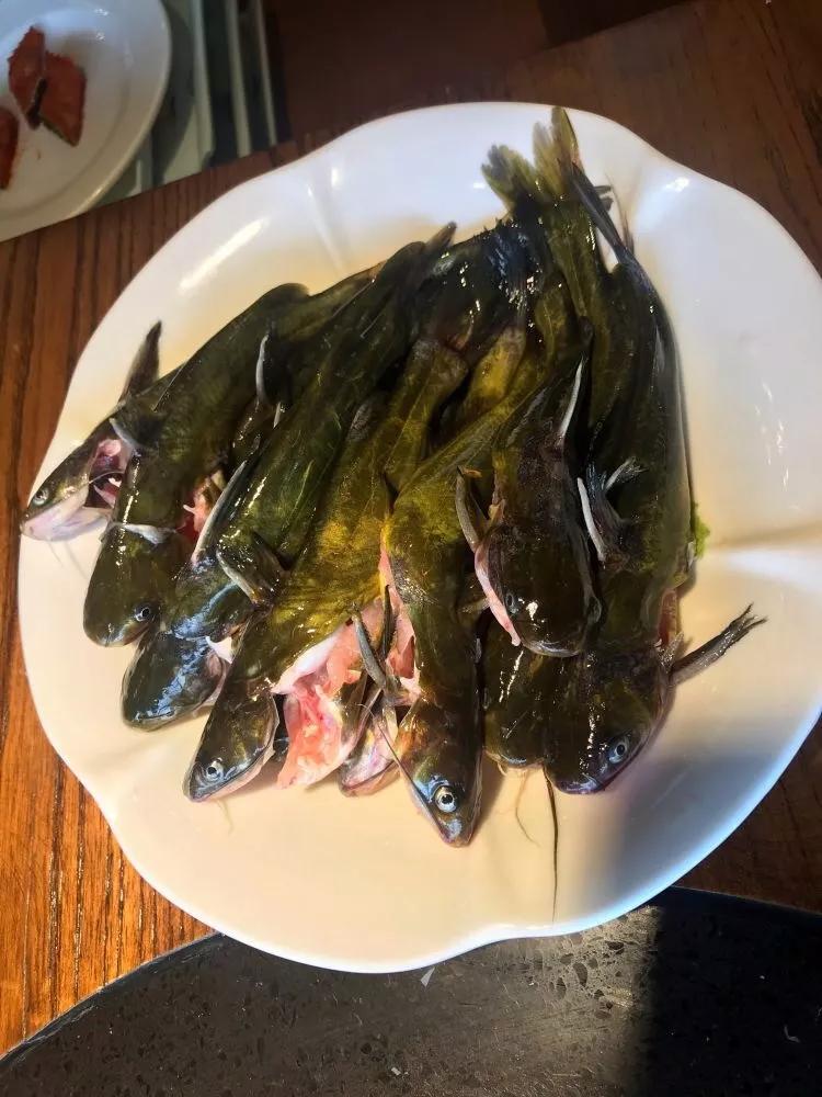 昆明自助餐推荐几家好吃,昆明十大海鲜自助餐排名