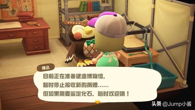 动森上岛前攻略,动森前期去无人岛带什么回来