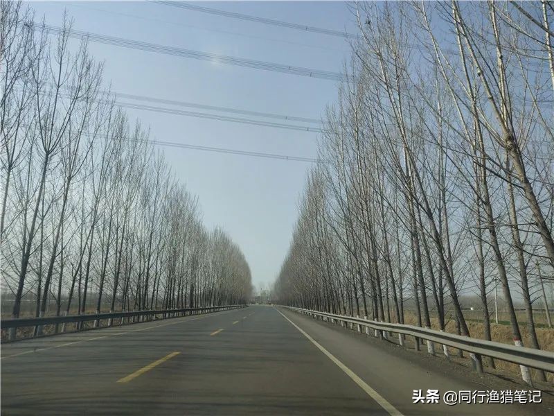 迎着倔强的西南风，抓耳挠腮与网工抢鱼，哪里说理儿去