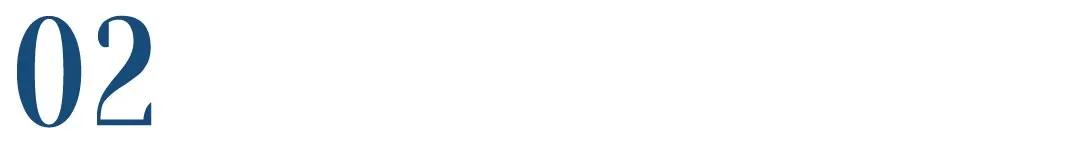 关于宠物店的选品和陈列,低端宠物店选品