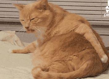 孕期长痘可以用的皮肤药,怀孕皮肤长斑长痘用什么护肤品