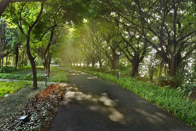 广州洛溪岛全景视频,广州洛溪岛怎么样