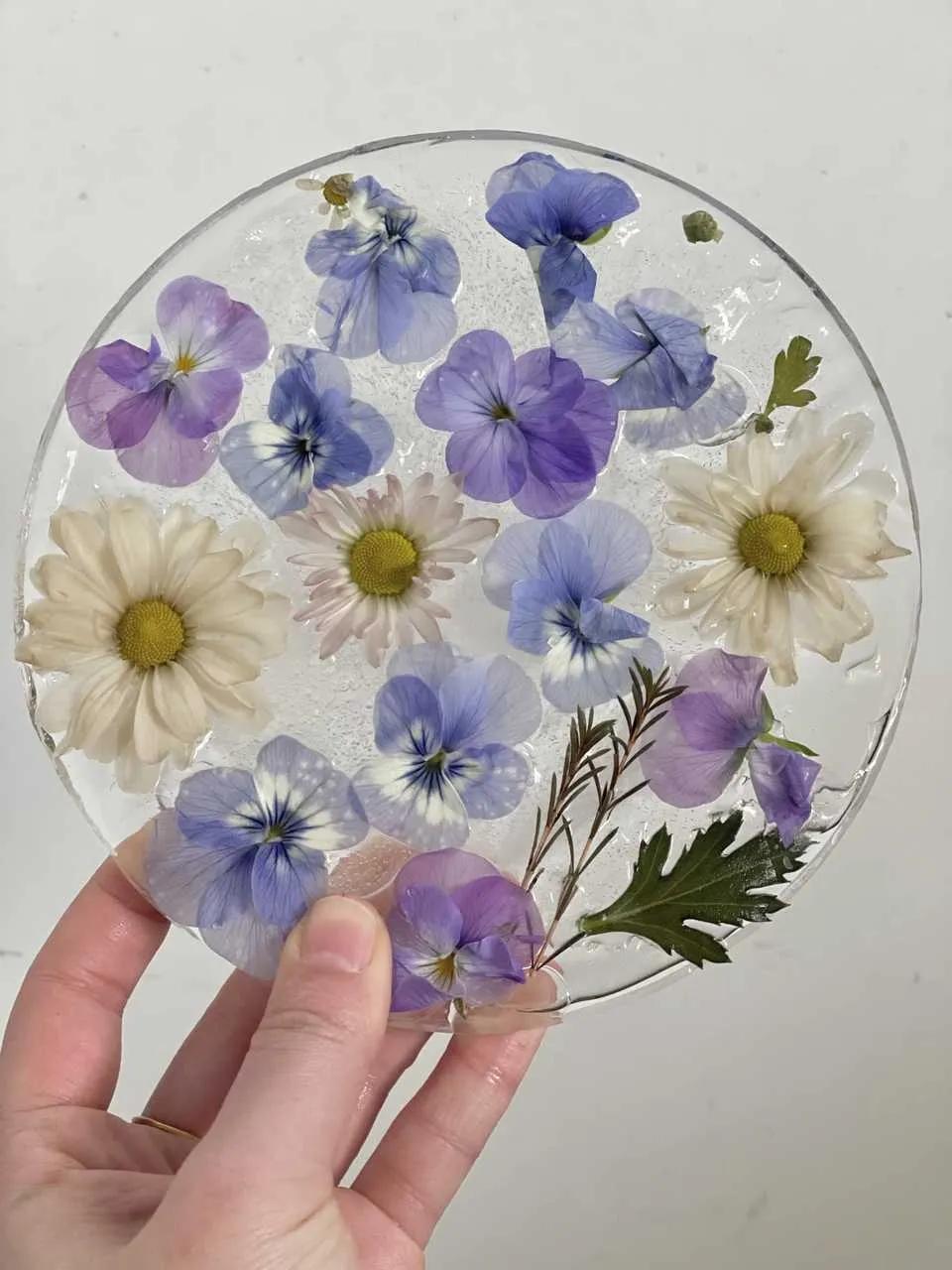 寒潮来袭，你的阳台也能开出这样的“水晶花”