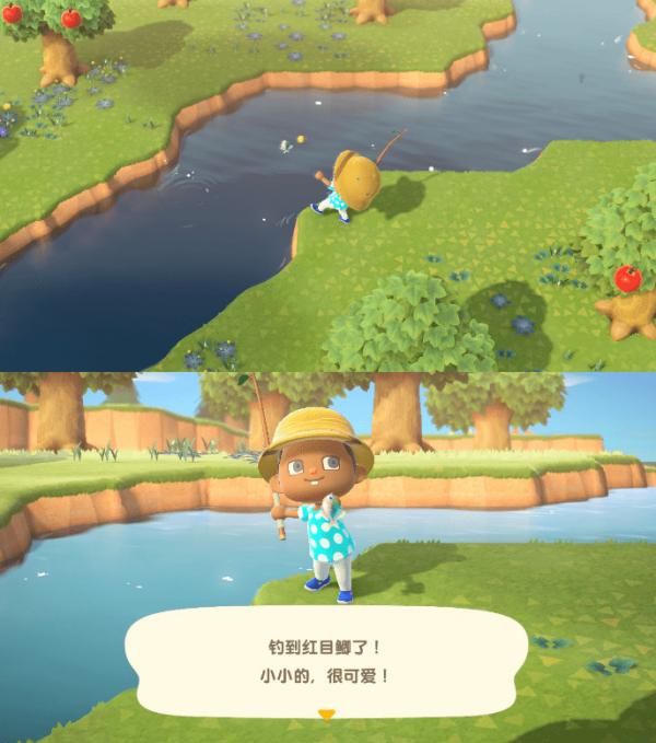 动物之森新手登录教程,动物之森新手攻略手机版