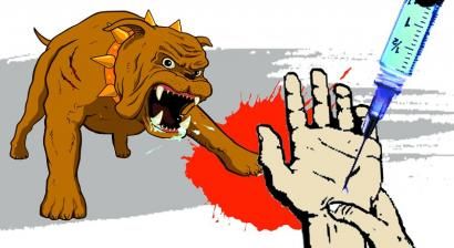 被流浪狗咬伤喂狗的赔偿,农村流浪狗咬伤人谁承担赔偿责任