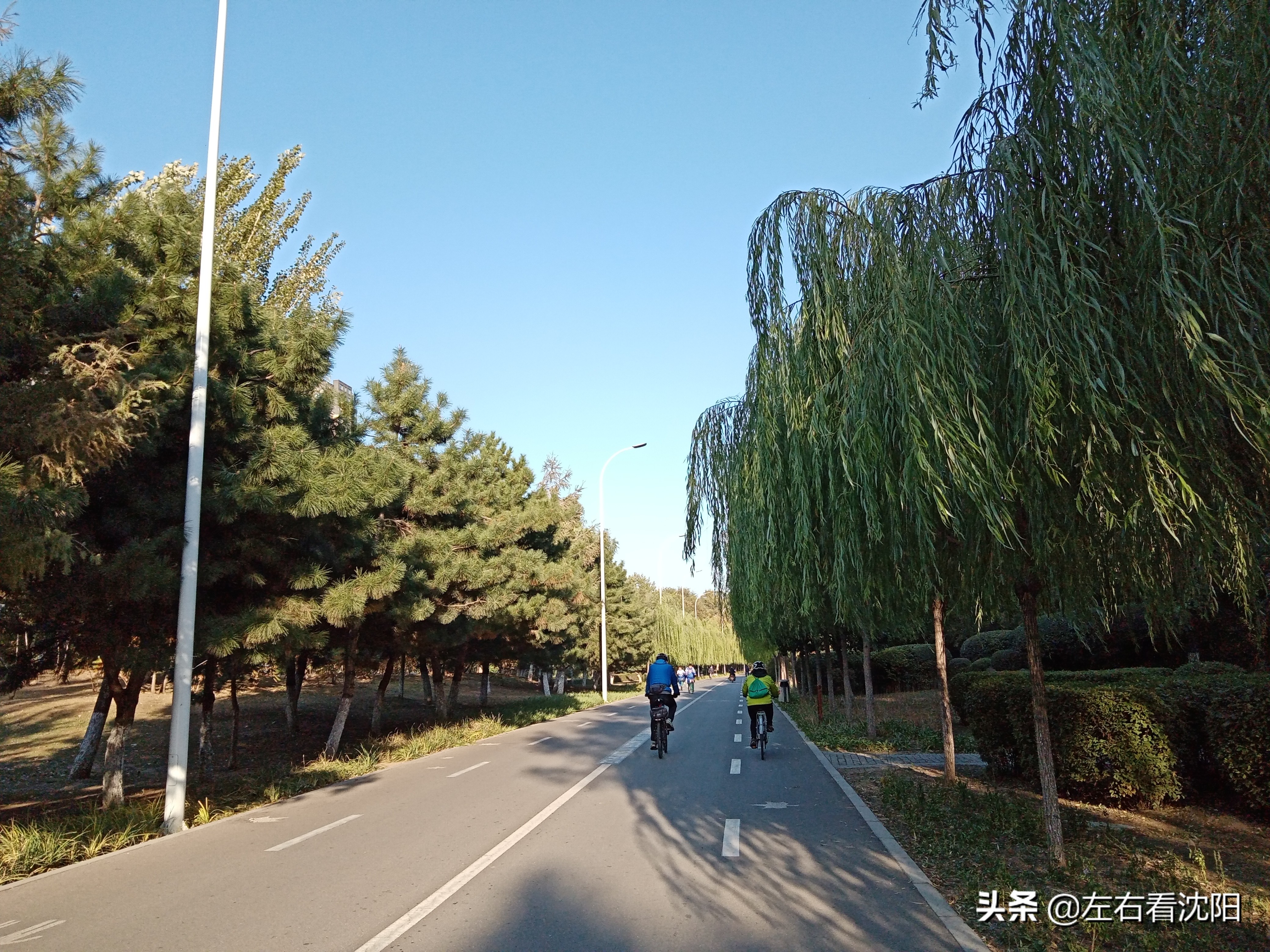 沈阳五里河公园攻略,沈阳五里河公园现在开吗