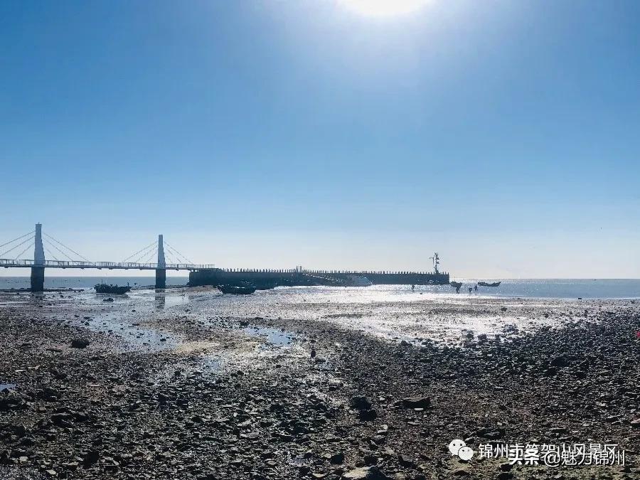 锦州笔架山风景区晚上,锦州笔架山风景区四月中旬