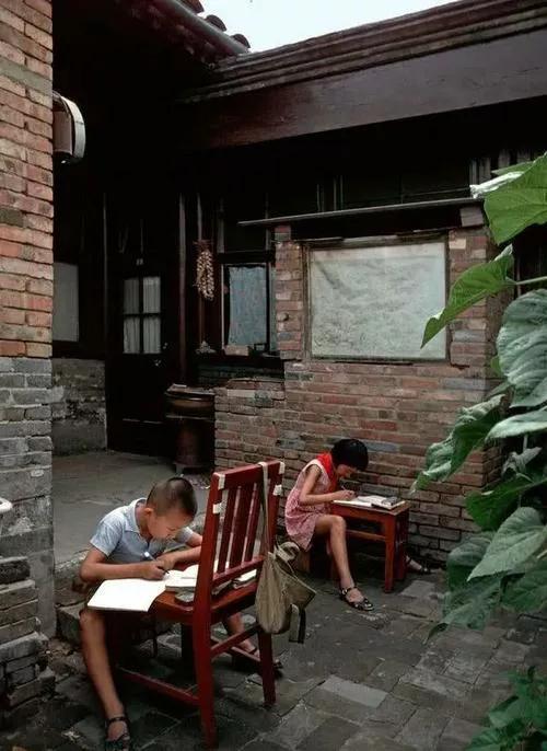 小时候被洋辣子扎过,小时候被洋辣子蛰