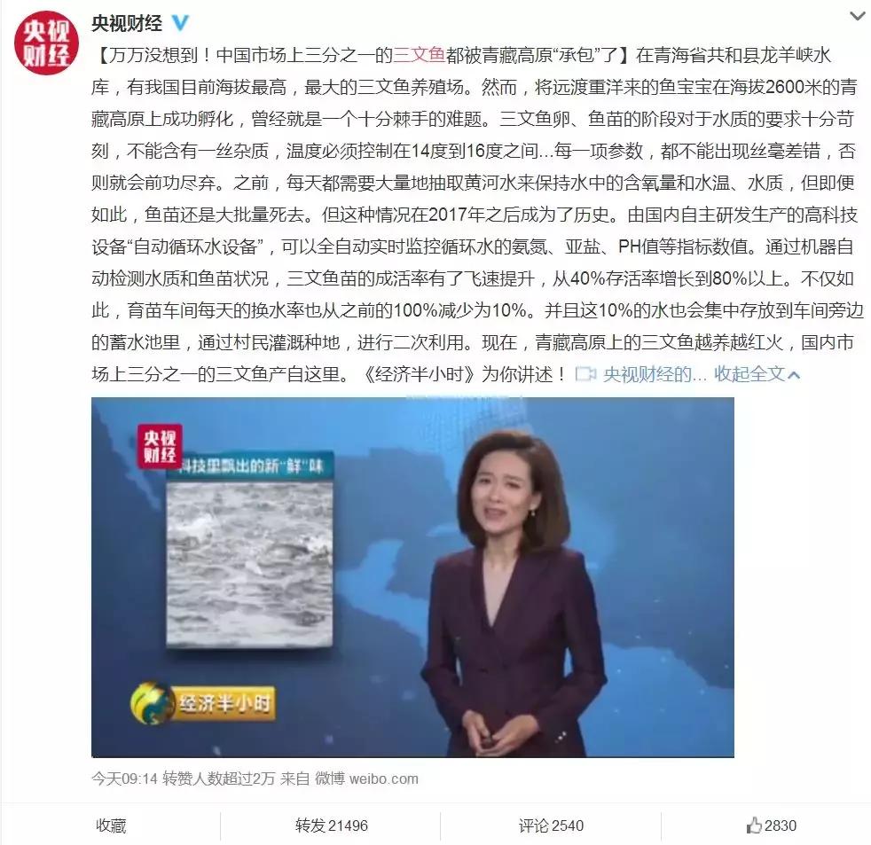 这样的三文鱼刺身你还敢吃吗,刺身三文鱼是生吃吗