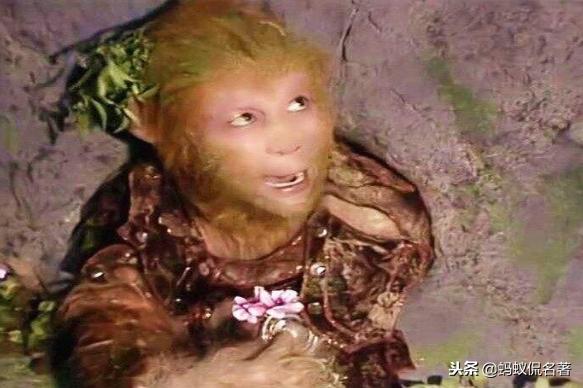 难怪500年来，只有牧童敢去探望孙悟空，你看看他是何身份？
