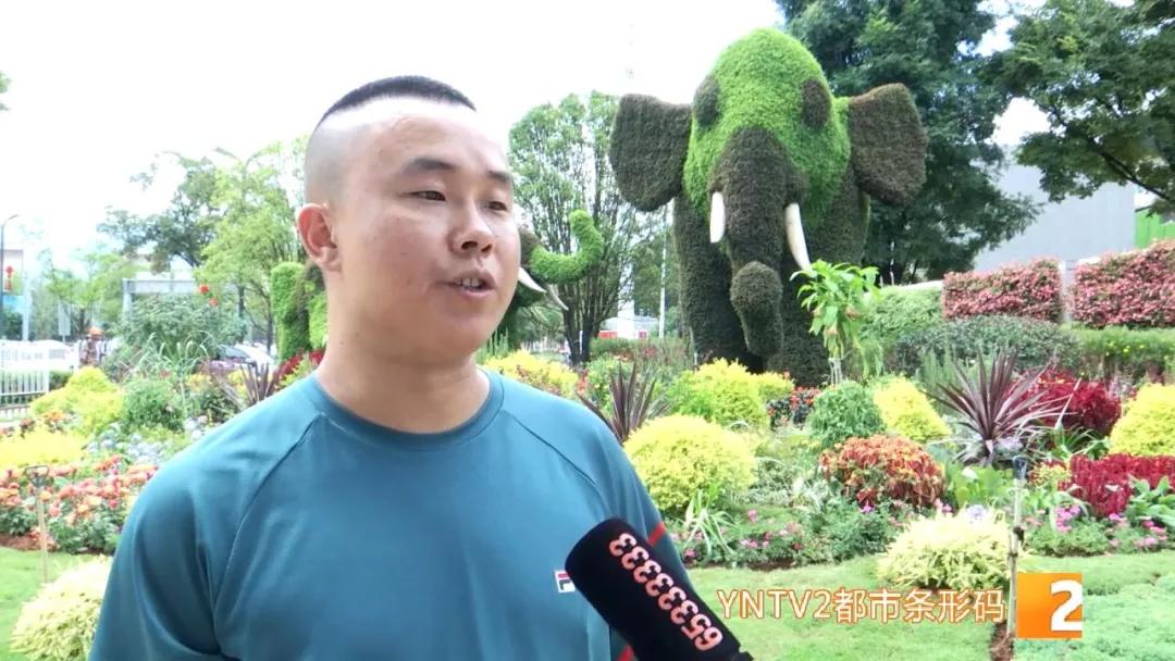 昆明100个立体花坛位置,昆明cop15立体花坛